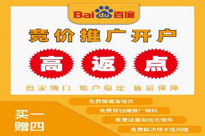 案例解读：SEM广告如何助力品牌崛起